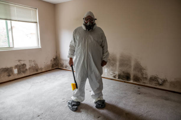 Best Crawl Space Mold Removal  in Cibolo, TX